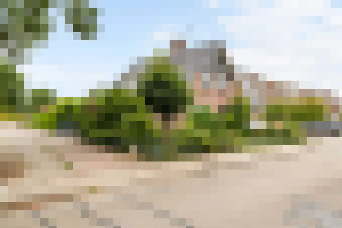 Paulusstraat 19 Deest thumbnail 6