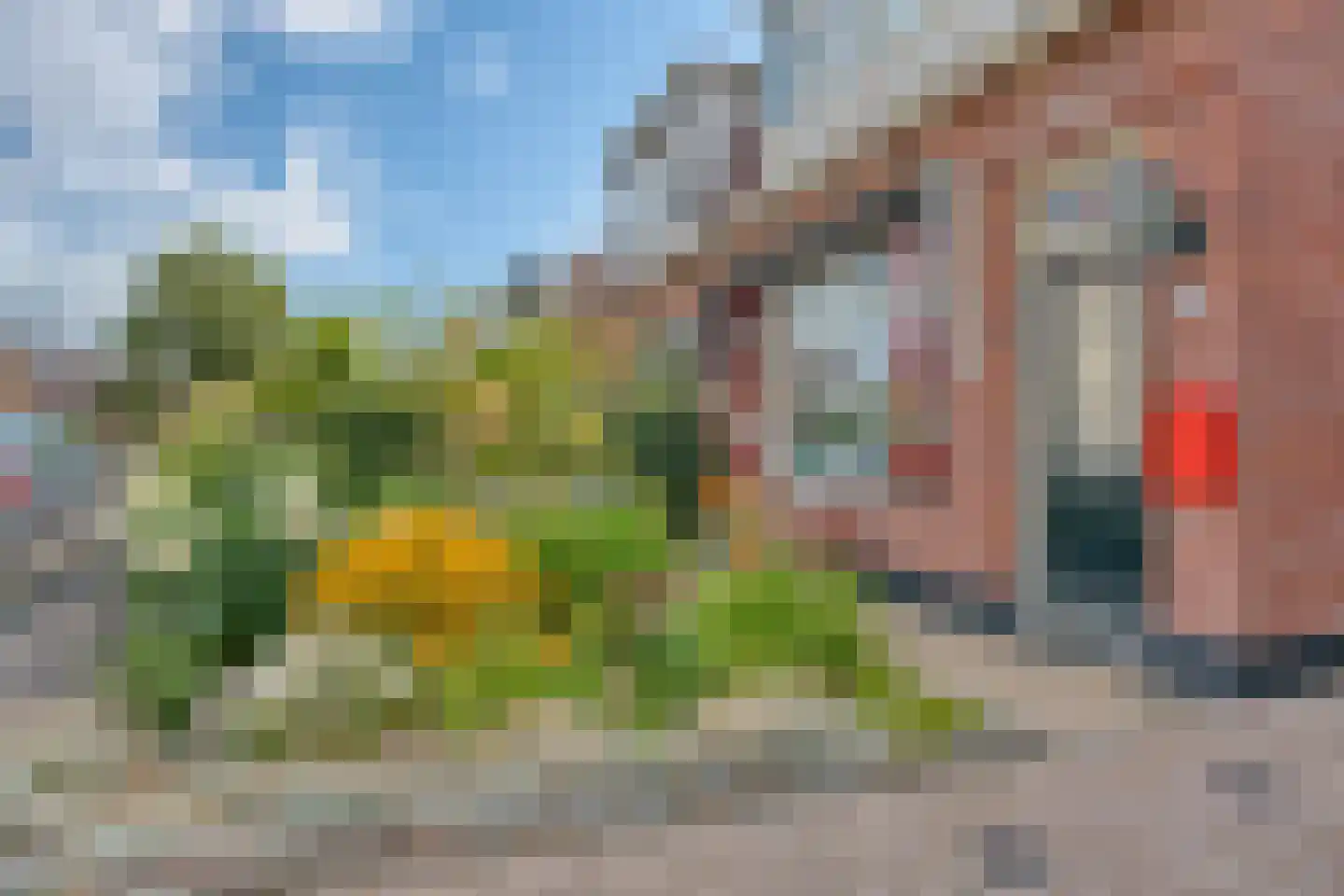 Paulusweg 111 Hendrik-Ido-Ambacht thumbnail 8