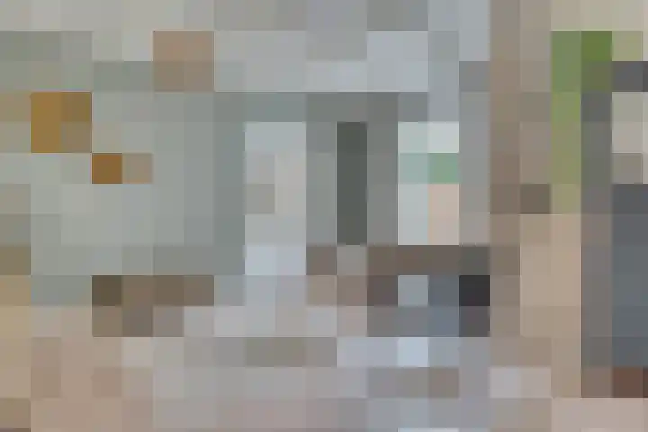 Paulusweg 115 Hendrik-Ido-Ambacht thumbnail 14