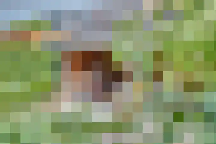 Paulusweg 115 Hendrik-Ido-Ambacht thumbnail 33