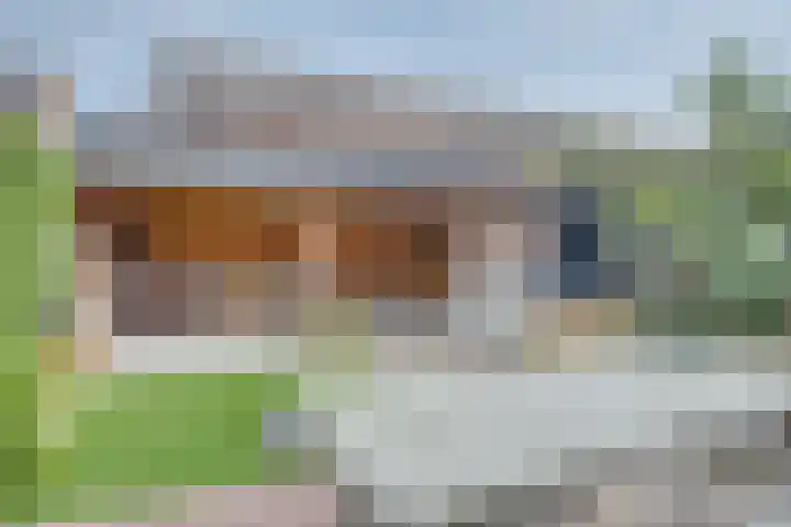 Paulusweg 115 Hendrik-Ido-Ambacht thumbnail 36