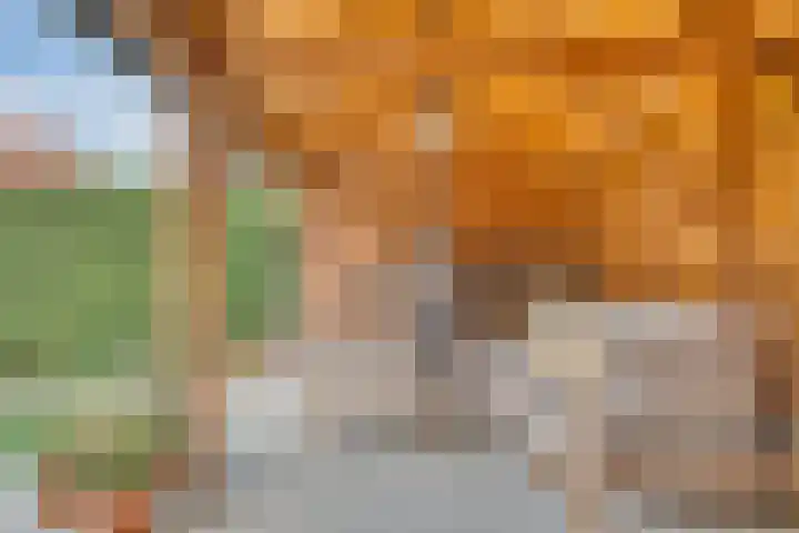 Paulusweg 115 Hendrik-Ido-Ambacht thumbnail 39