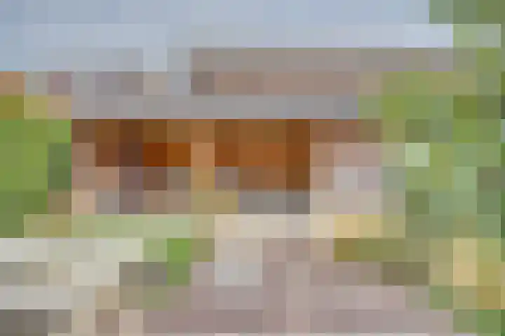 Paulusweg 115 Hendrik-Ido-Ambacht thumbnail 4