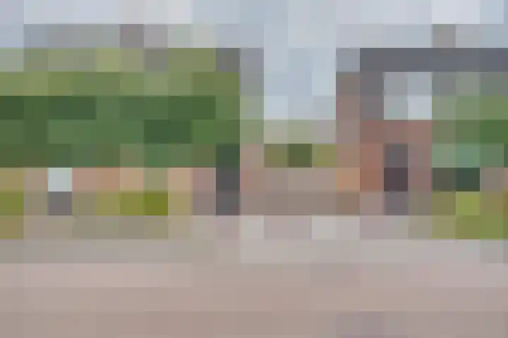 Paulusweg 115 Hendrik-Ido-Ambacht thumbnail 5