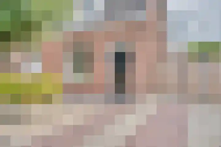 Paulusweg 115 Hendrik-Ido-Ambacht thumbnail 6