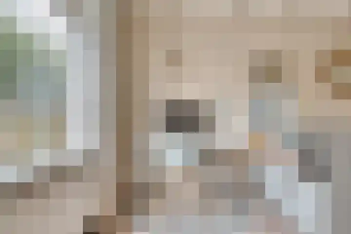 Paulusweg 115 Hendrik-Ido-Ambacht thumbnail 8