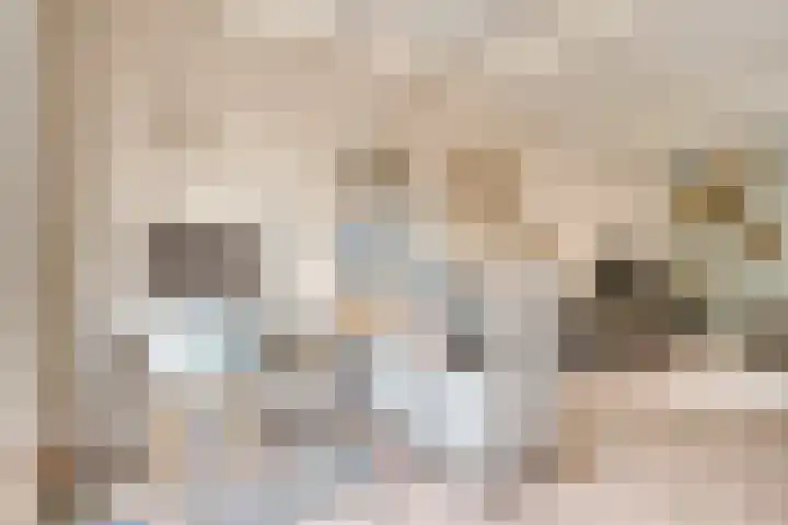 Paulusweg 115 Hendrik-Ido-Ambacht thumbnail 9