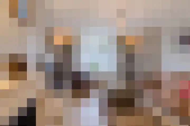 Paulusweg 147 Hendrik-Ido-Ambacht thumbnail 11