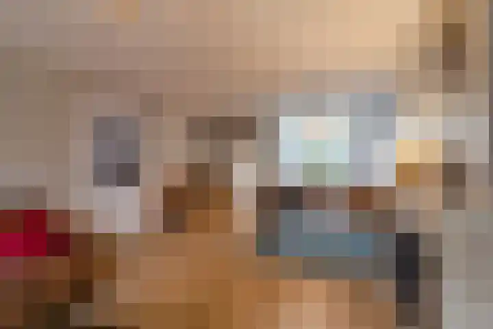 Paulusweg 147 Hendrik-Ido-Ambacht thumbnail 12