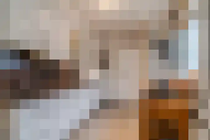 Paulusweg 147 Hendrik-Ido-Ambacht thumbnail 15