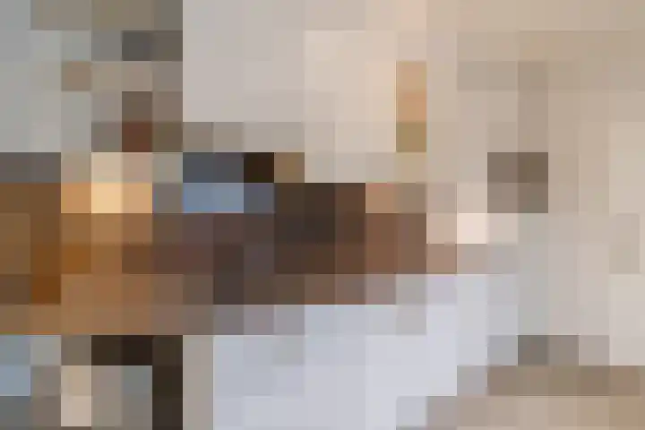 Paulusweg 147 Hendrik-Ido-Ambacht thumbnail 16