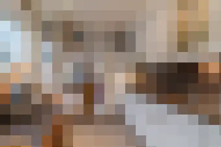 Paulusweg 147 Hendrik-Ido-Ambacht thumbnail 17
