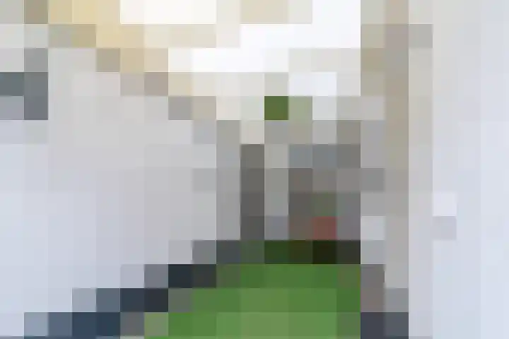 Paulusweg 147 Hendrik-Ido-Ambacht thumbnail 30