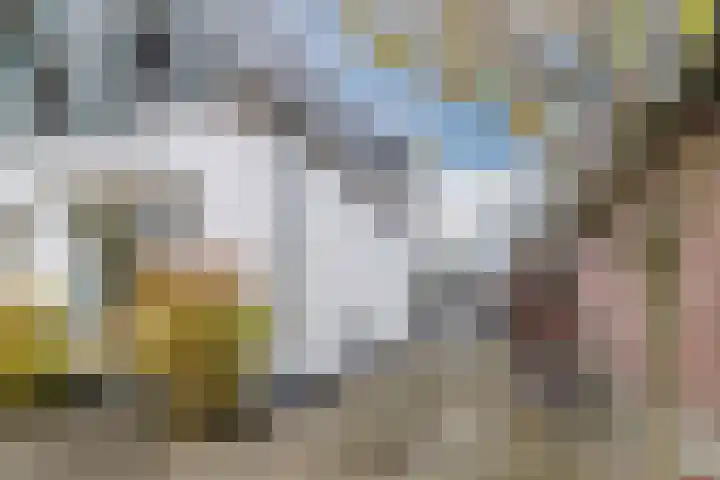 Paulusweg 147 Hendrik-Ido-Ambacht thumbnail 36