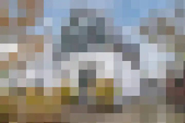 Paulusweg 147 Hendrik-Ido-Ambacht thumbnail 8