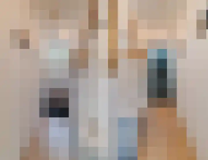 Paulusweg 147 Hendrik-Ido-Ambacht thumbnail 9