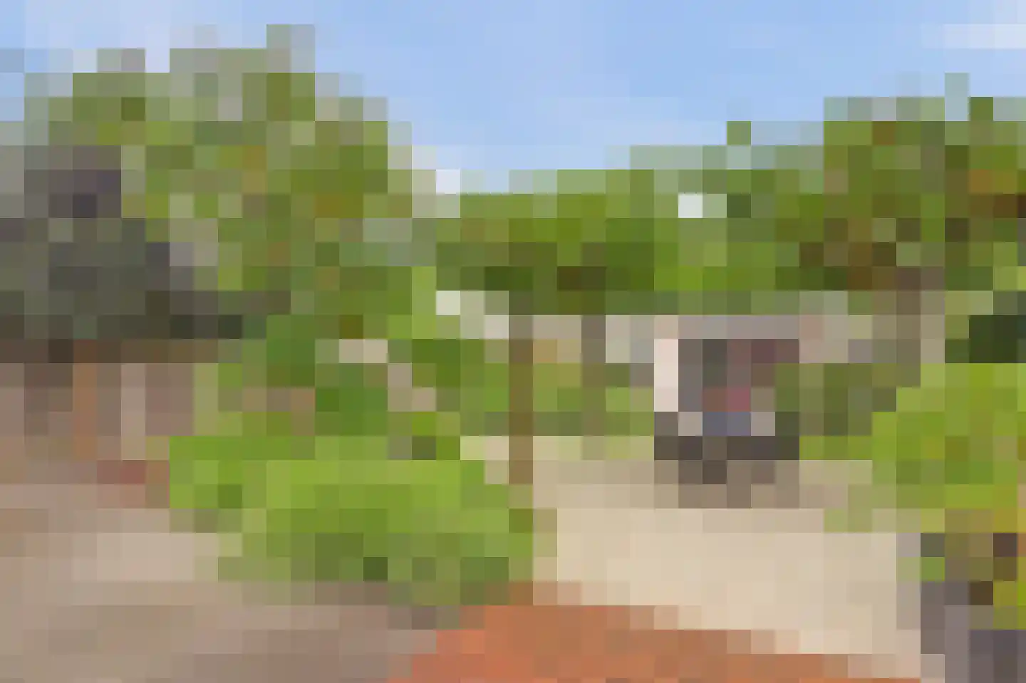 Paulusweg 32 Hendrik-Ido-Ambacht thumbnail 54