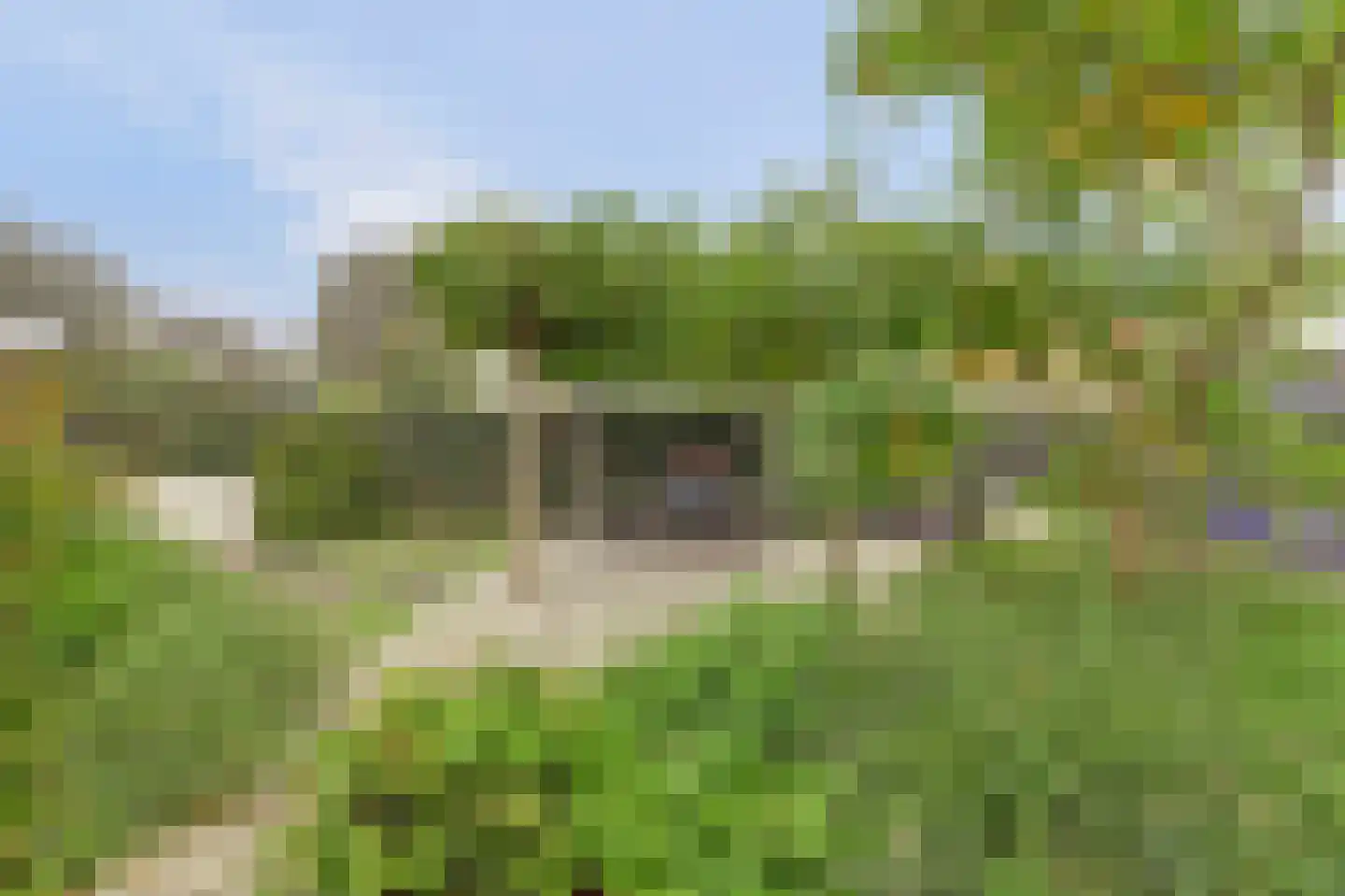 Paulusweg 32 Hendrik-Ido-Ambacht thumbnail 60
