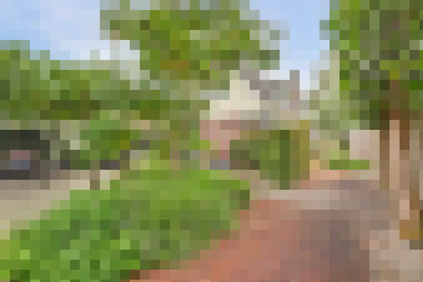Paulusweg 32 Hendrik-Ido-Ambacht thumbnail 61