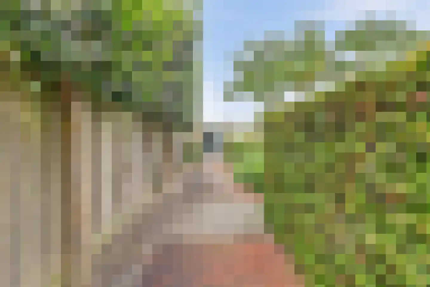 Paulusweg 32 Hendrik-Ido-Ambacht thumbnail 63