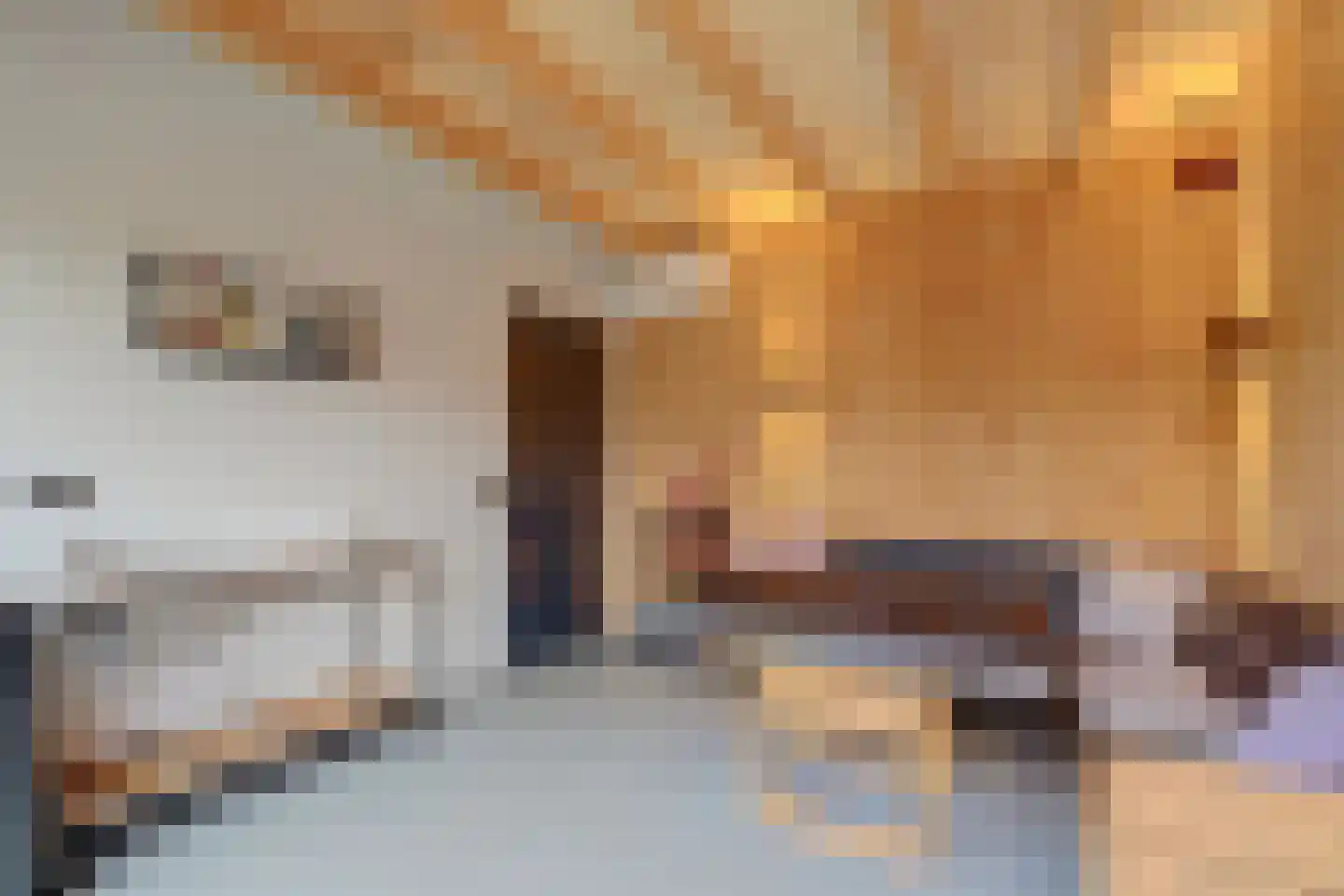 Paulusweg 32 Hendrik-Ido-Ambacht thumbnail 68
