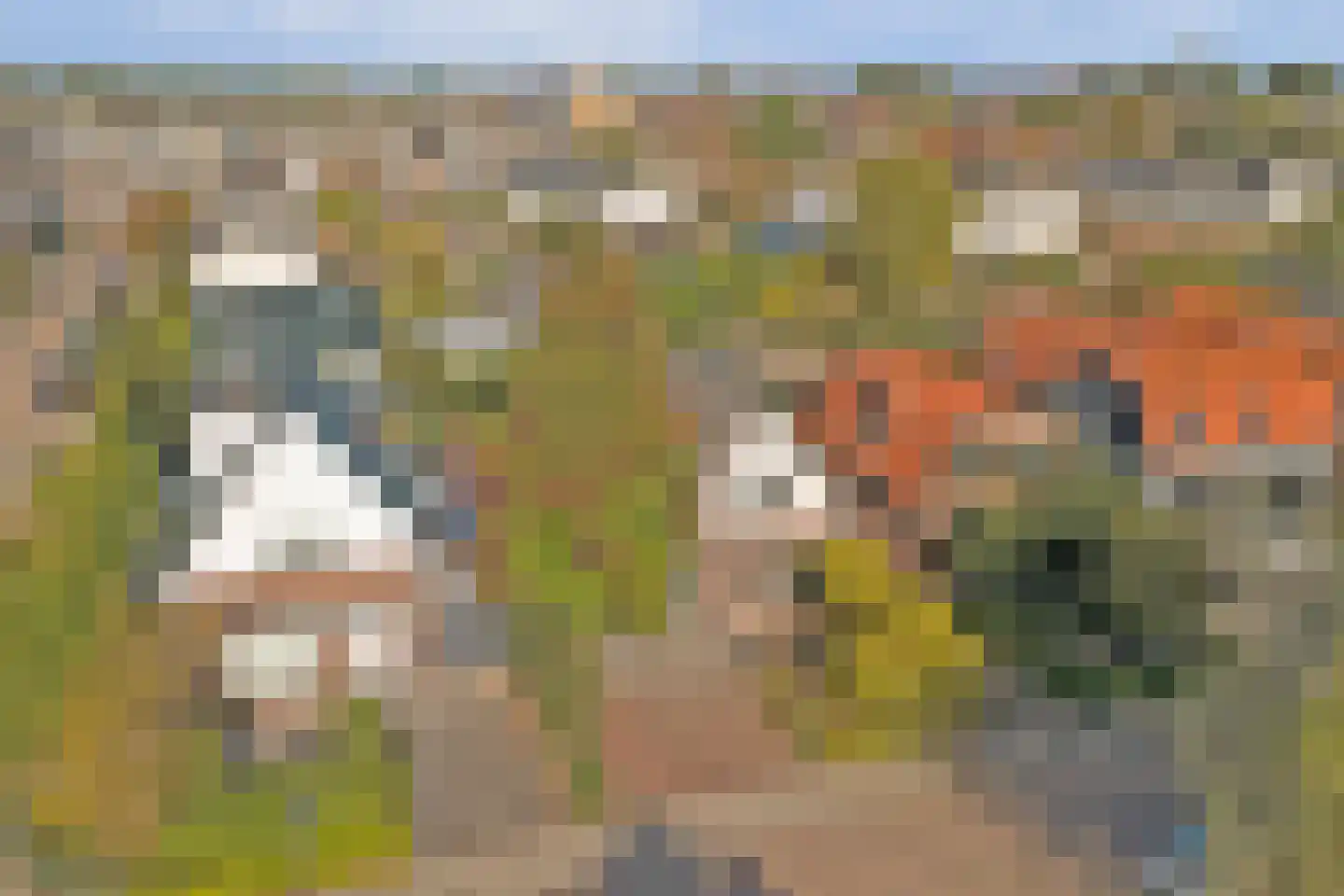 Paulusweg 32 Hendrik-Ido-Ambacht thumbnail 74