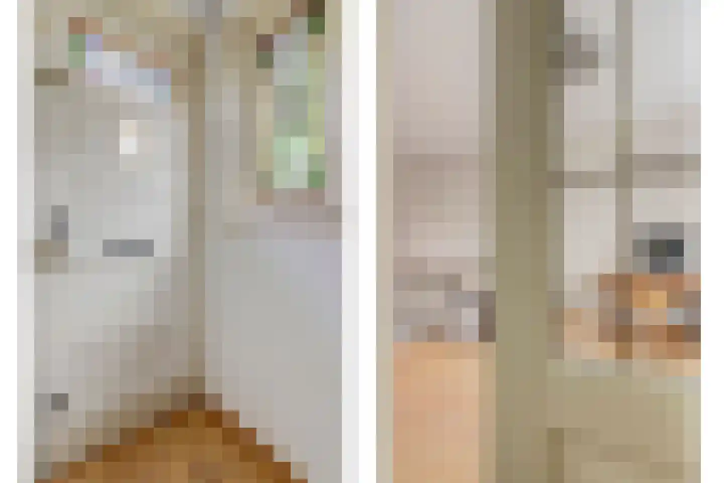 Paulusweg 32 Hendrik-Ido-Ambacht thumbnail 8