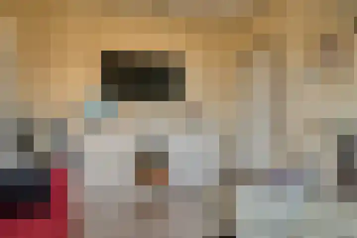 Paulusweg 61 Hendrik-Ido-Ambacht thumbnail 12