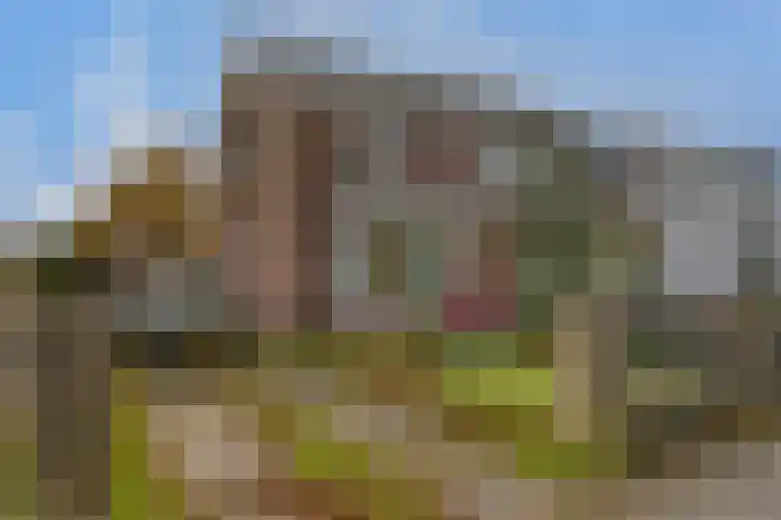 Paulusweg 61 Hendrik-Ido-Ambacht thumbnail 5
