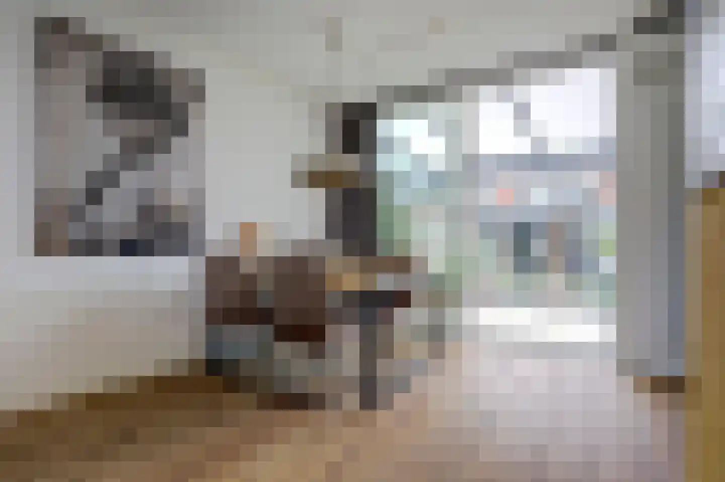 Paulusweg 62 Hendrik-Ido-Ambacht thumbnail 22