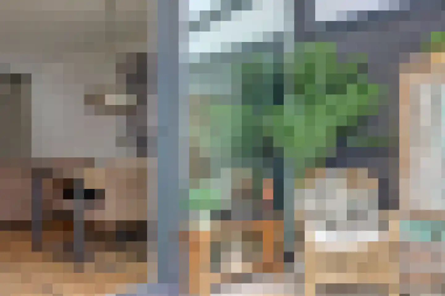 Paulusweg 62 Hendrik-Ido-Ambacht thumbnail 38