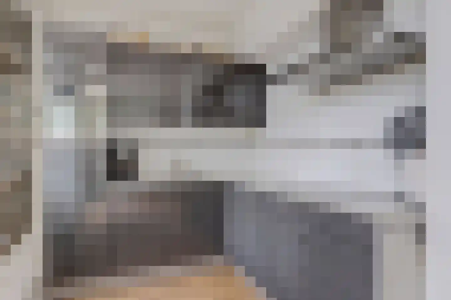 Paulusweg 62 Hendrik-Ido-Ambacht thumbnail 4