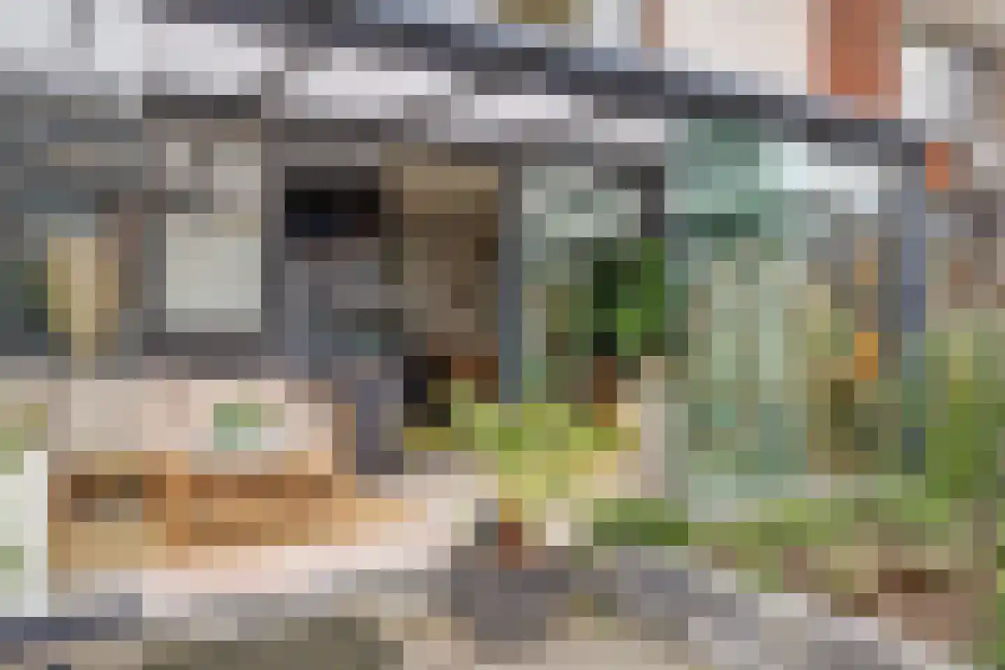 Paulusweg 62 Hendrik-Ido-Ambacht thumbnail 6