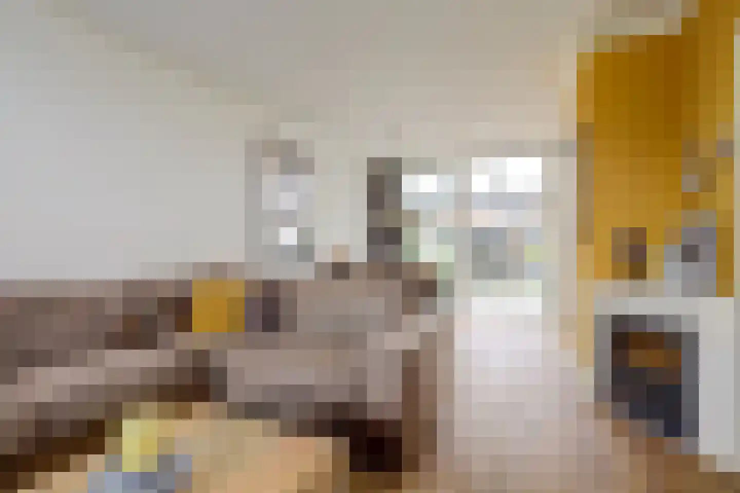 Paulusweg 62 Hendrik-Ido-Ambacht thumbnail 8