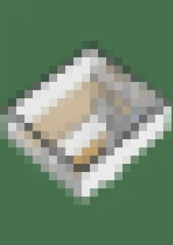 Paulusweg 70 Hendrik-Ido-Ambacht thumbnail 41