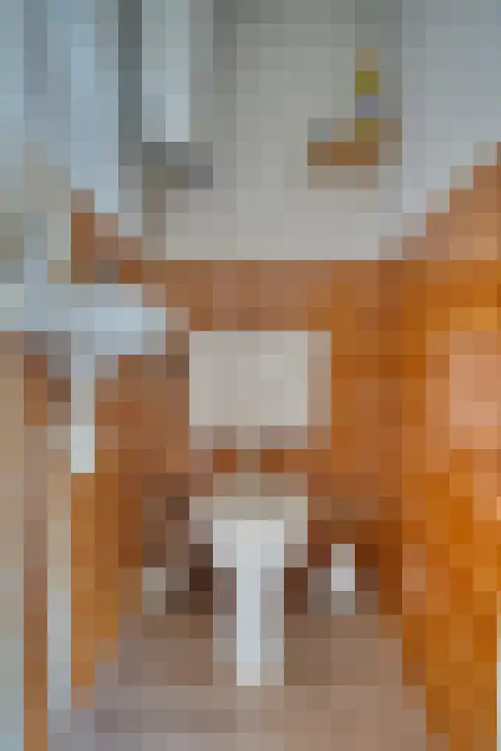 Paulusweg 70 Hendrik-Ido-Ambacht thumbnail 7