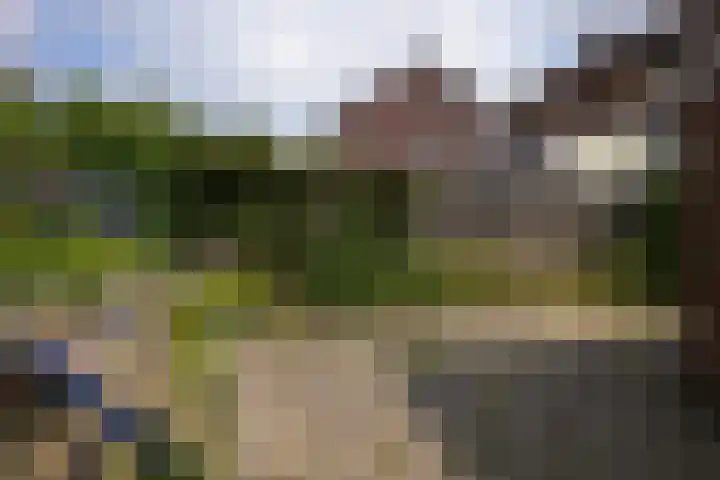 Paumstraat 44 Bocholtz thumbnail 23