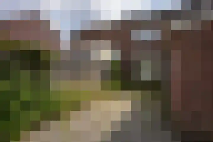 Paumstraat 44 Bocholtz thumbnail 24
