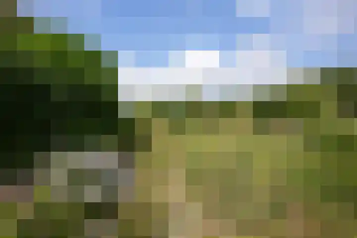 Paumstraat 44 Bocholtz thumbnail 25