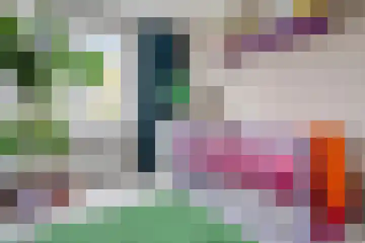 Paus Adriaanstraat 19 Tilburg thumbnail 23