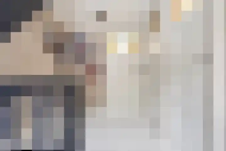 Paus Adriaanstraat 19 Tilburg thumbnail 26