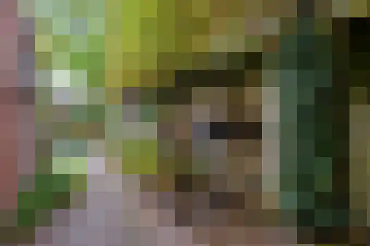 Paus Adriaanstraat 19 Tilburg thumbnail 37