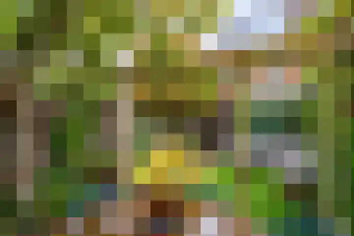 Paus Adriaanstraat 19 Tilburg thumbnail 39