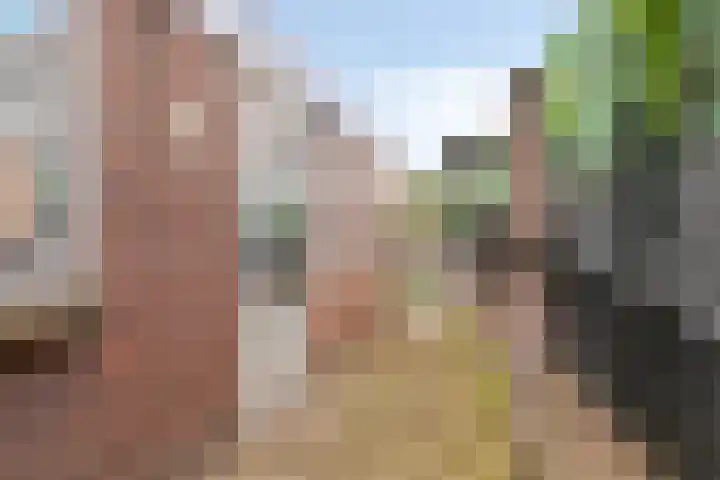 Paus Adriaanstraat 49 Tilburg thumbnail 22