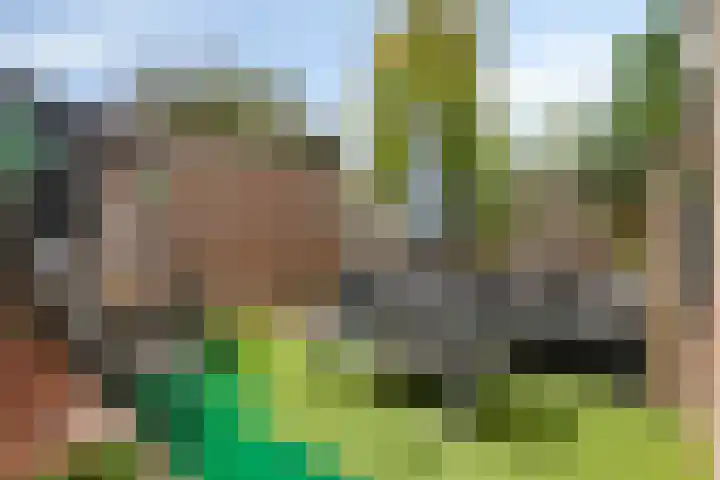 Paus Adriaanstraat 49 Tilburg thumbnail 23