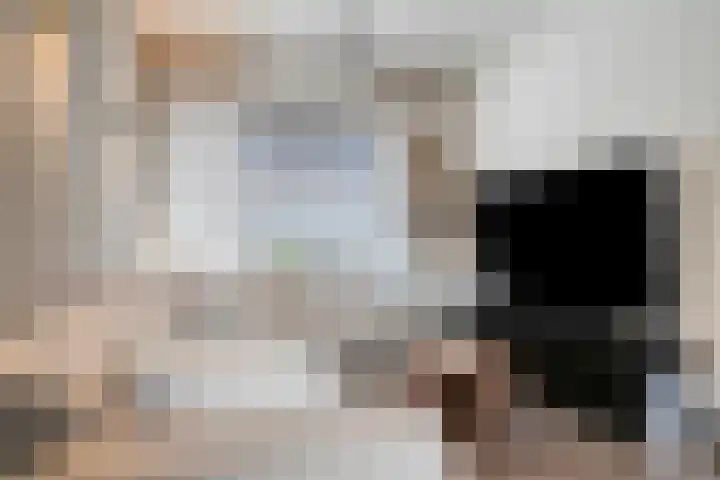 Paus Adriaanstraat 49 Tilburg thumbnail 4