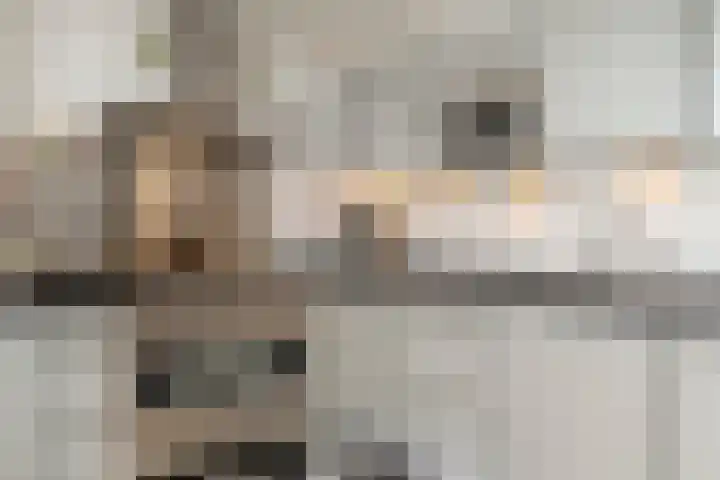 Paus Adriaanstraat 68 Tilburg thumbnail 16