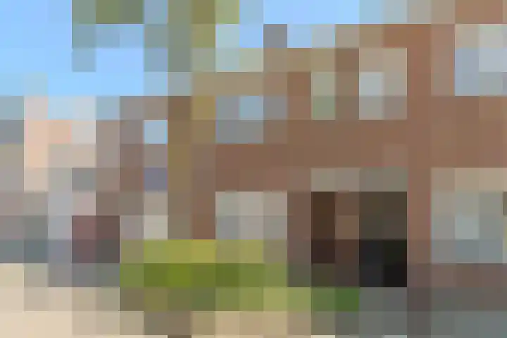 Paus Adriaanstraat 68 Tilburg thumbnail 4