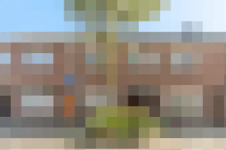 Paus Adriaanstraat 68 Tilburg thumbnail 53