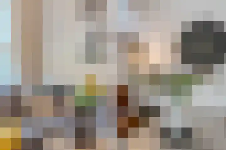 Paus Adriaanstraat 68 Tilburg thumbnail 8